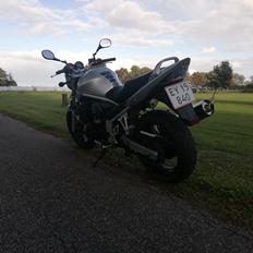 Suzuki Gsf650