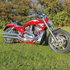 Harley Davidson V-Rod Screamin Eagle
