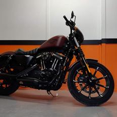 Harley Davidson Sportster 883