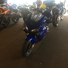 Honda CBR 600RR