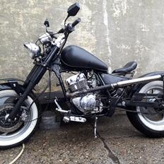 Jinlun Costum Bobber