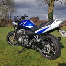 Suzuki GSF 600 Bandit Limited Edition
