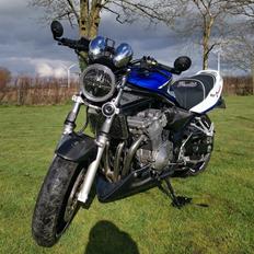 Suzuki GSF 600 Bandit Limited Edition