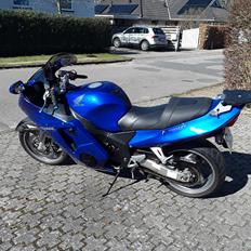 Honda CBR 1100 xx Super Blackbird