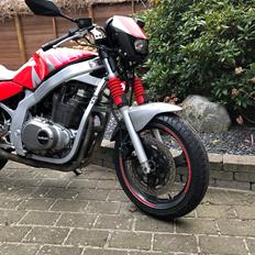 Suzuki Gs 500 e , speciel