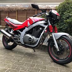 Suzuki Gs 500 e , speciel