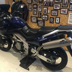 Suzuki DL-1000 V-Strom