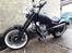 Jinlun Costum Bobber