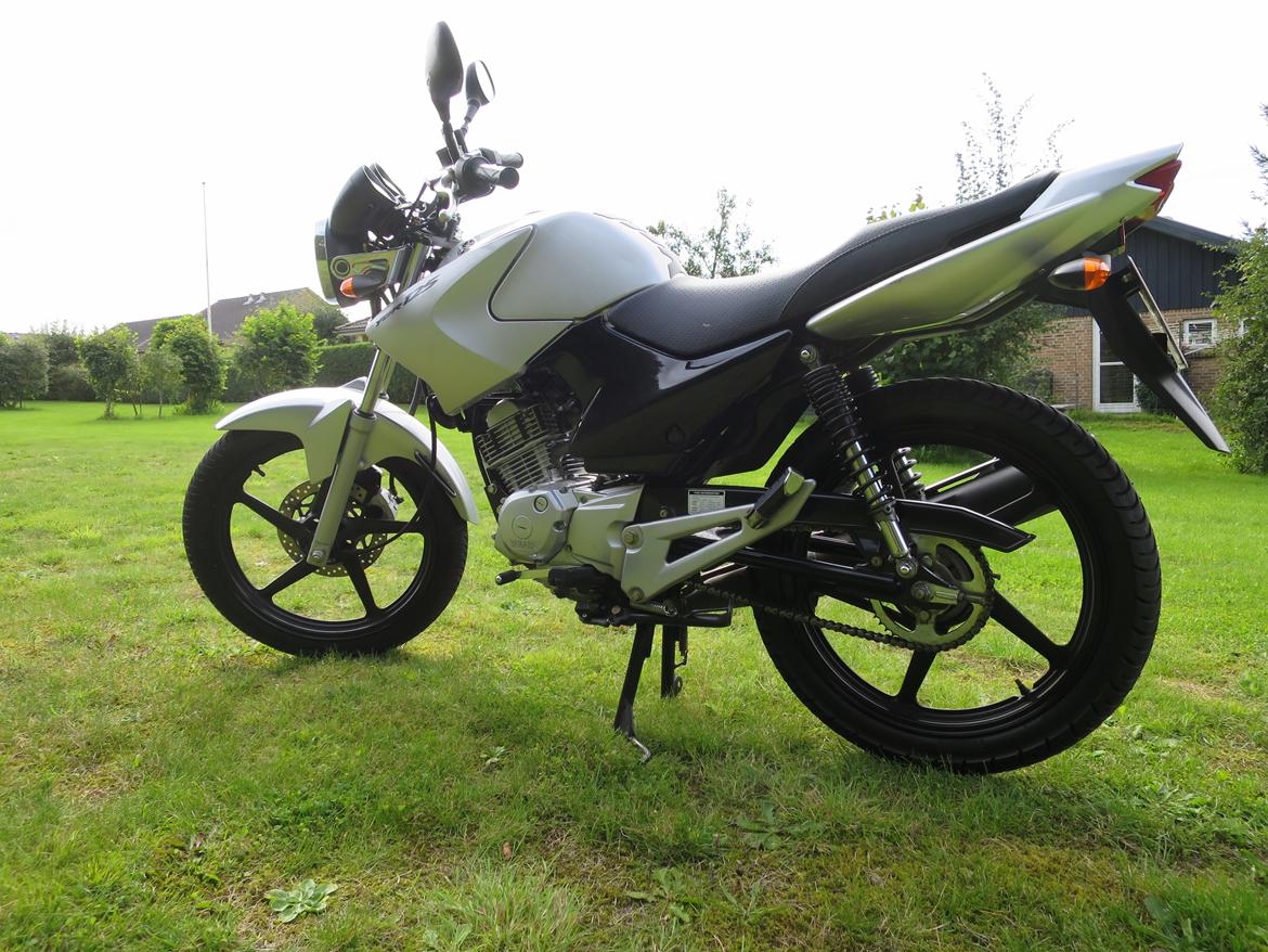 Yamaha YBR 125 billede 5