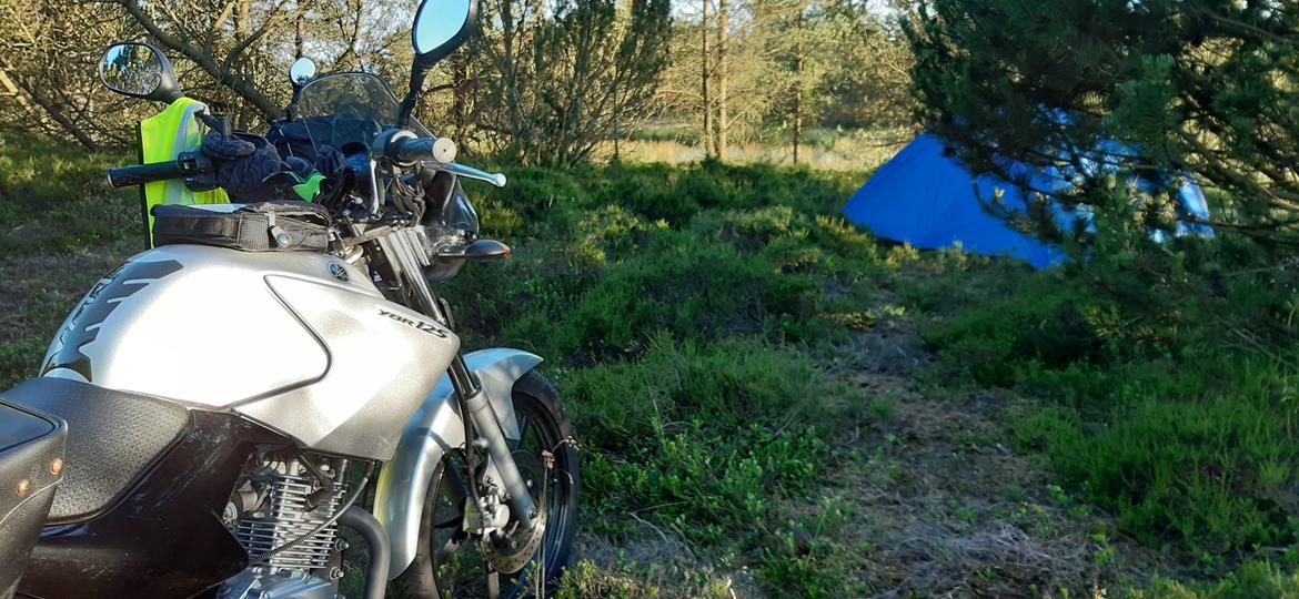 Yamaha YBR 125 billede 31