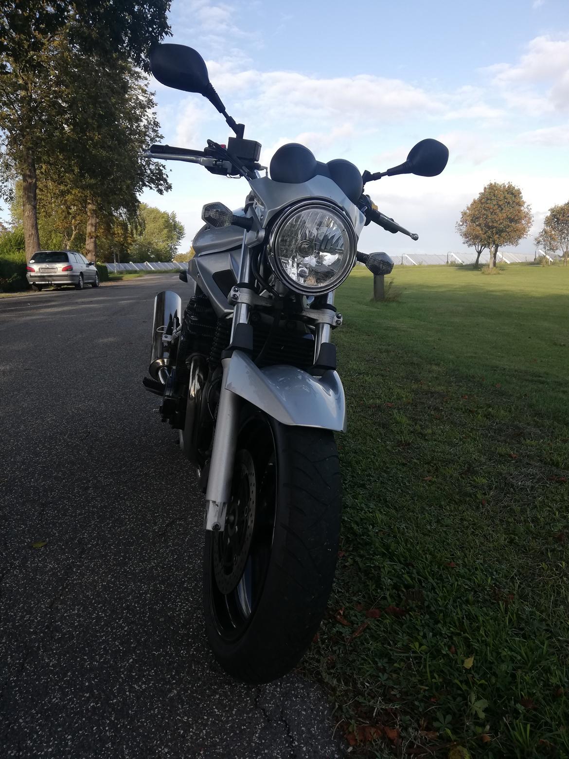 Suzuki Gsf650 billede 2