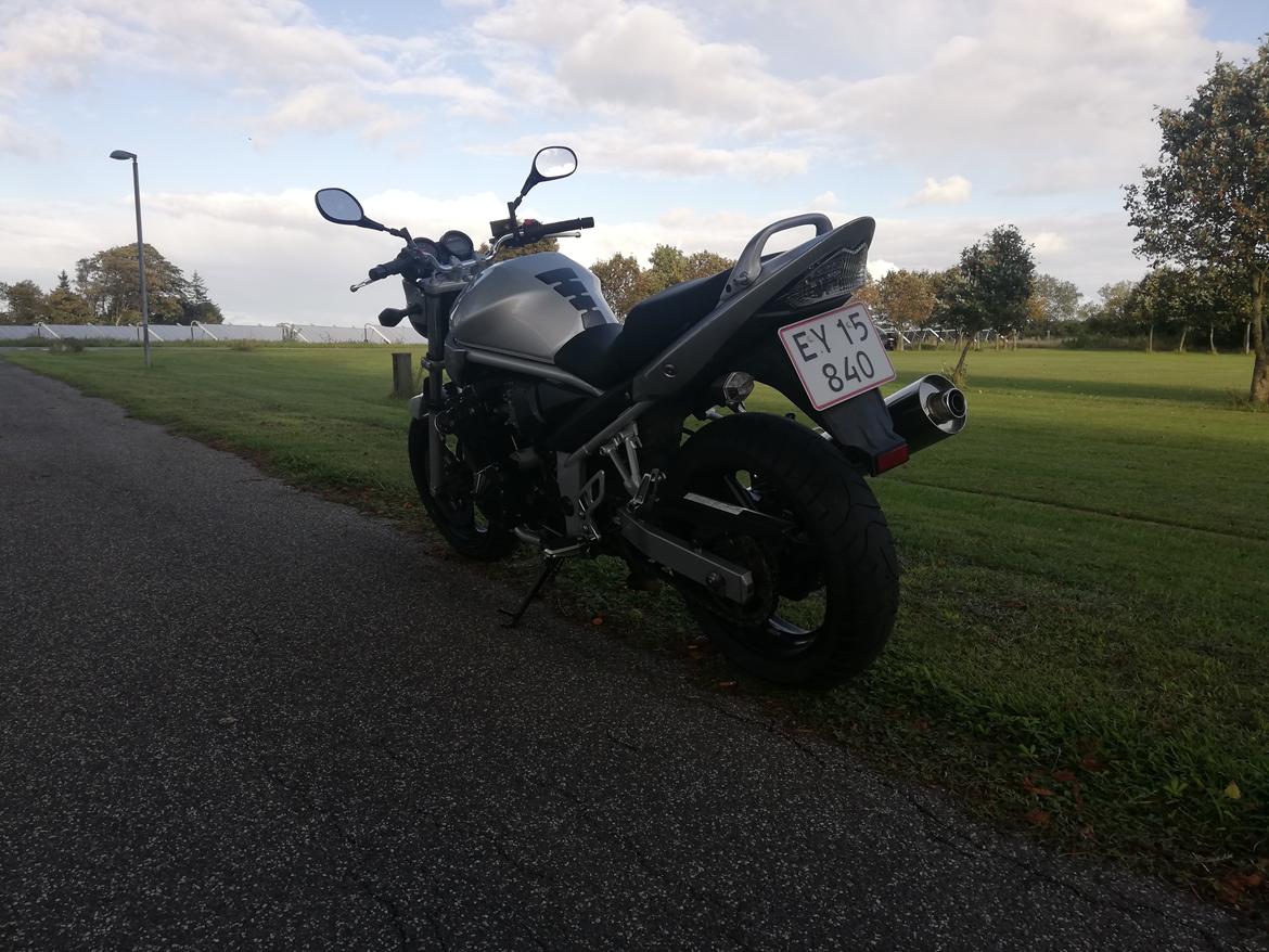 Suzuki Gsf650 billede 3