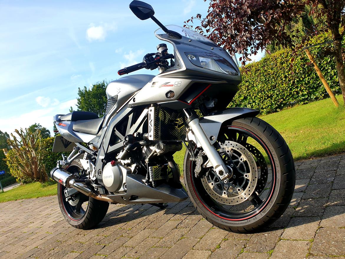 Suzuki Sv 1000s billede 5