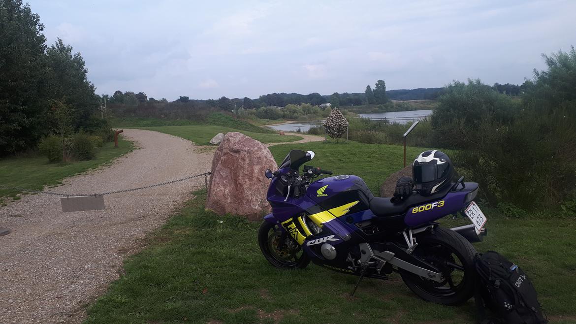 Honda CBR 600 F3 (F2.5) billede 6