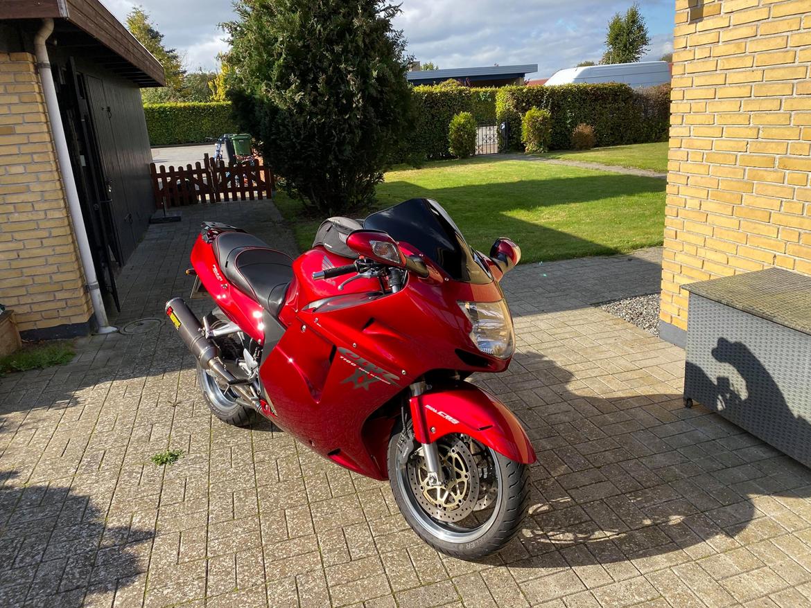 Honda Cbr 1100XX blackbird billede 20