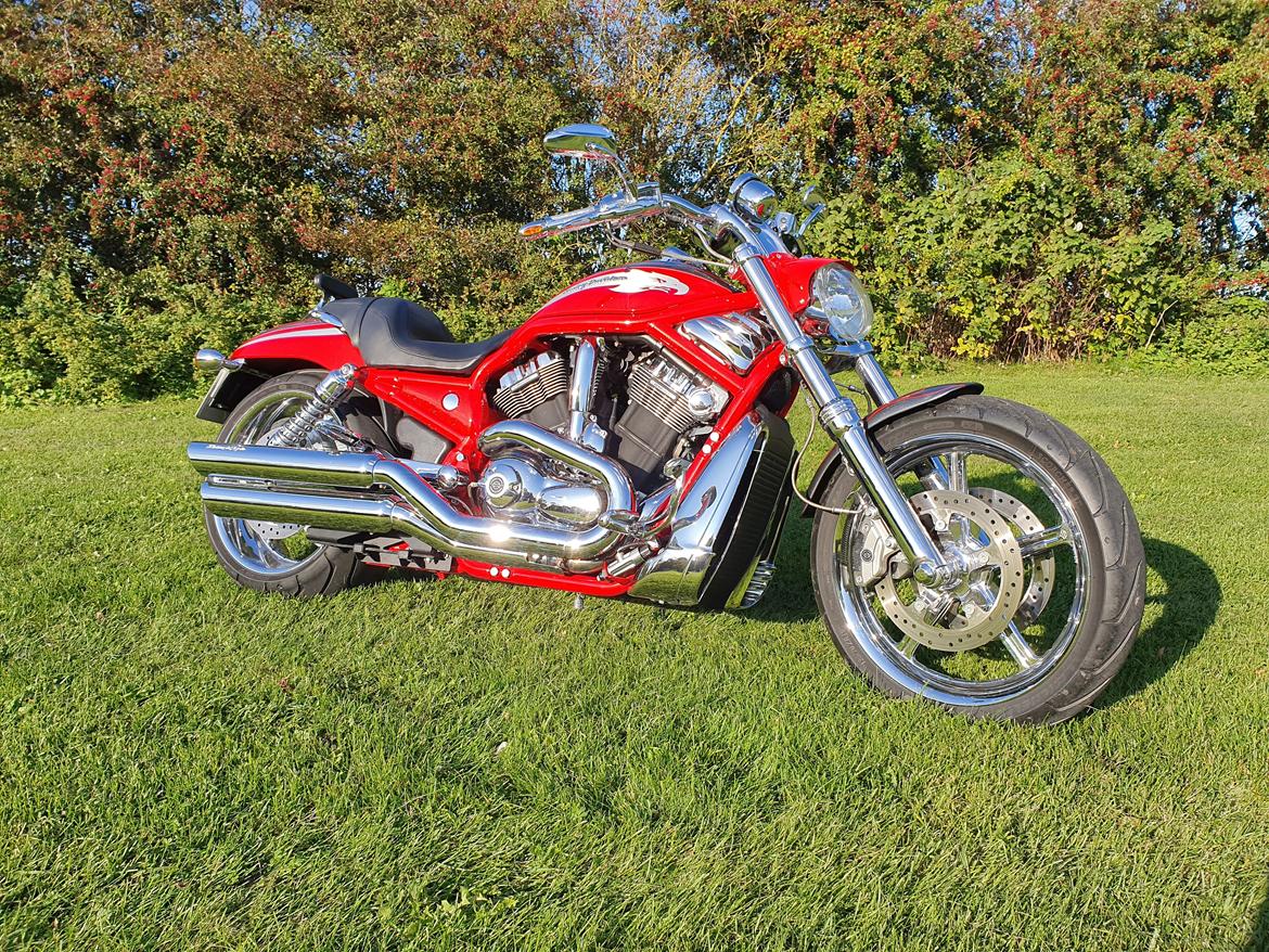 Harley Davidson V-Rod Screamin Eagle billede 2