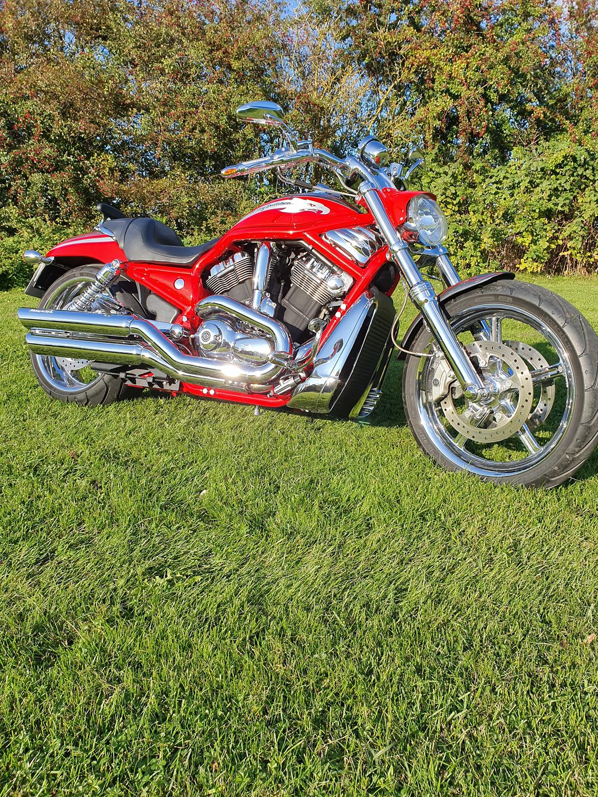 Harley Davidson V-Rod Screamin Eagle billede 3