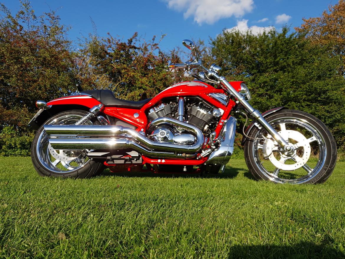 Harley Davidson V-Rod Screamin Eagle billede 1