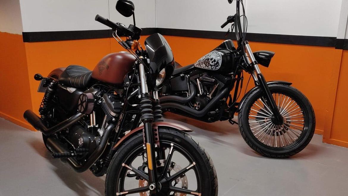 Harley Davidson Sportster 883 billede 3