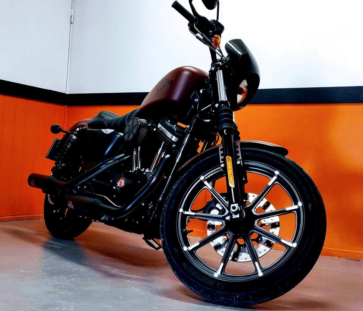 Harley Davidson Sportster 883 billede 1