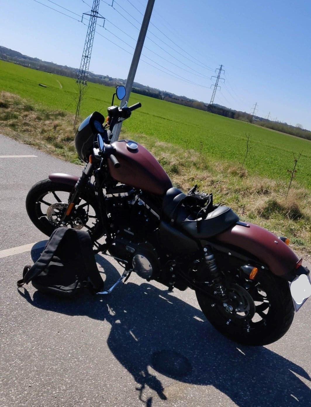 Harley Davidson Sportster 883 billede 5