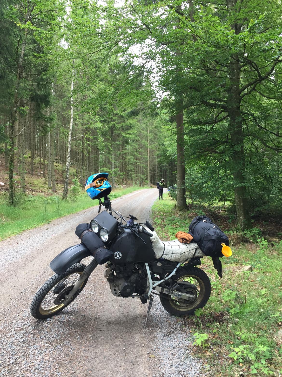 Honda XL 600 LM billede 2