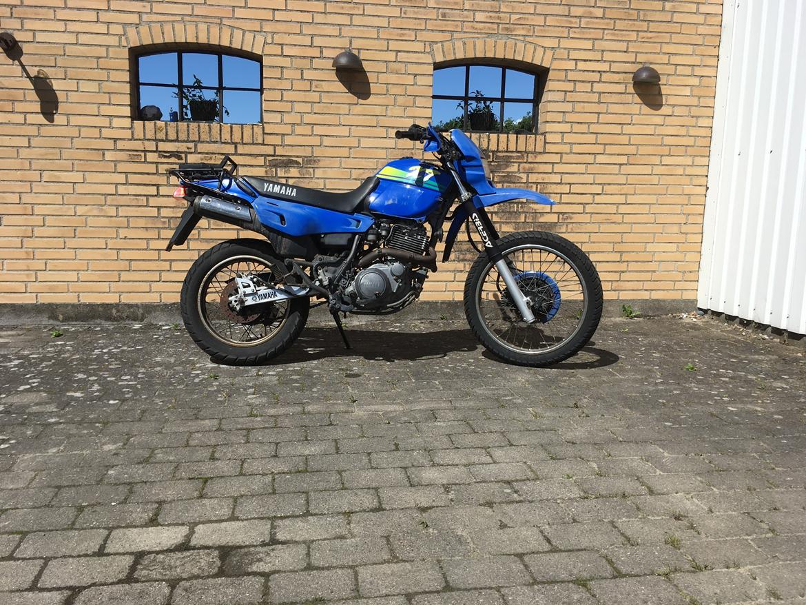 Yamaha Xt 600 billede 1