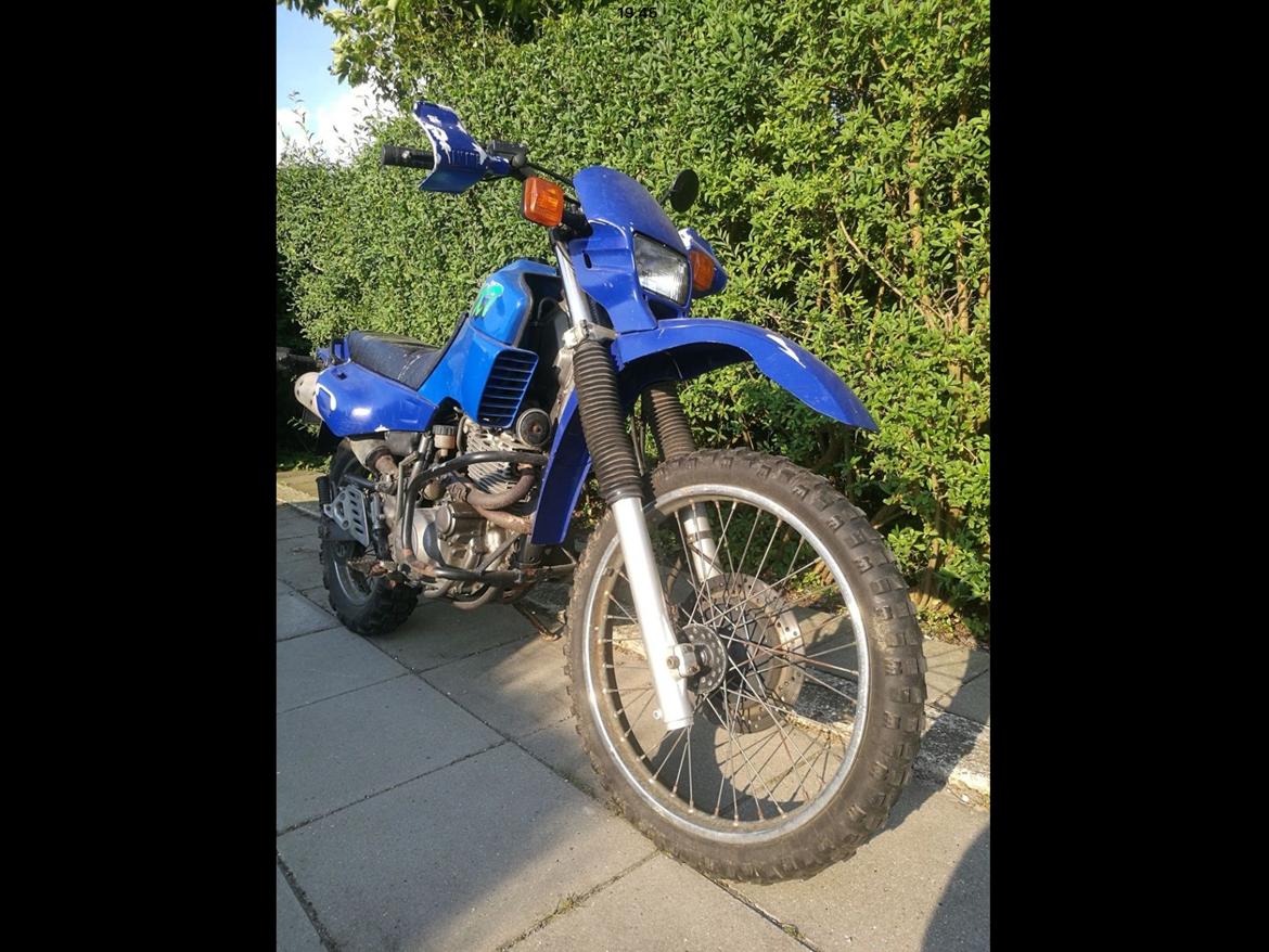 Yamaha Xt 600 billede 4