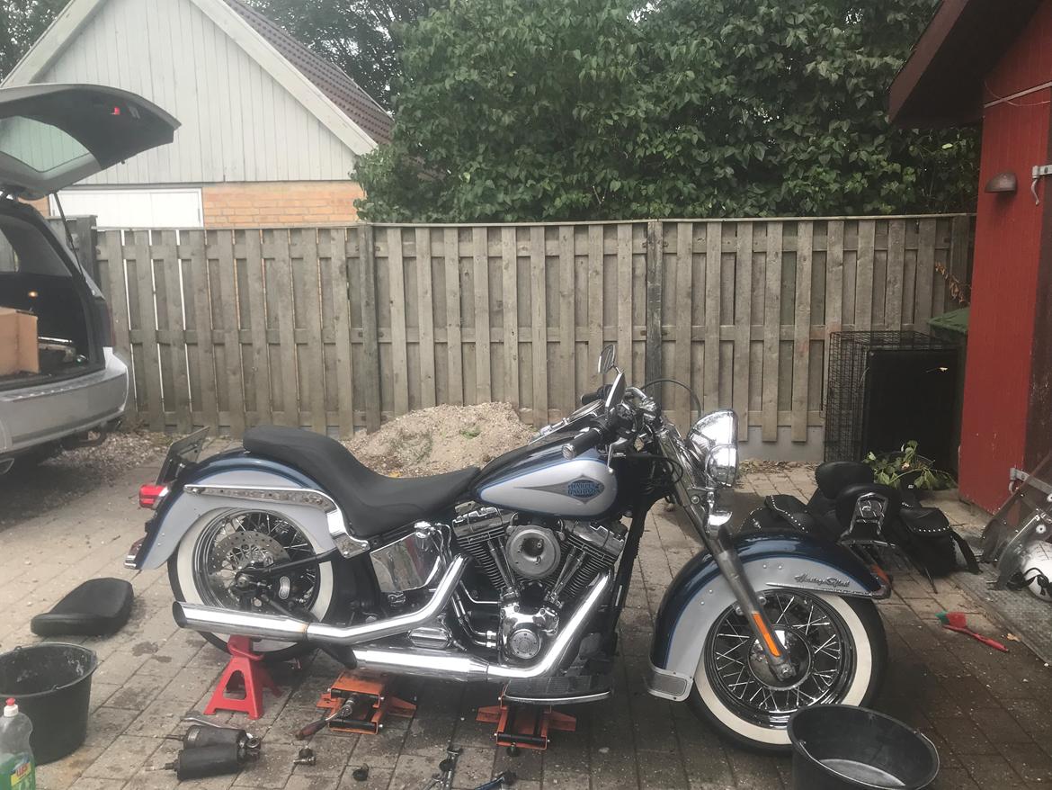 Harley Davidson FLSTCI Heritage billede 5