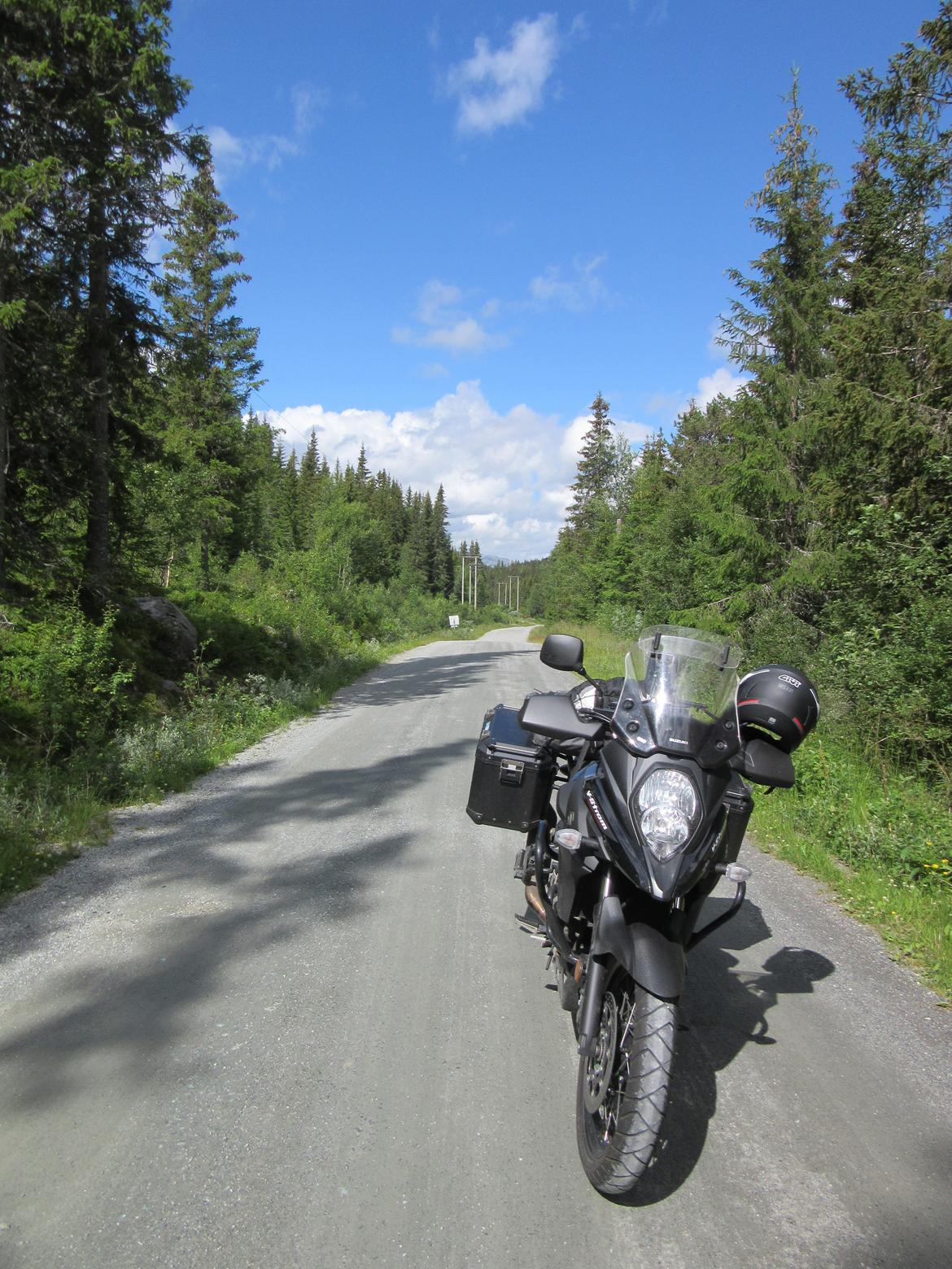 Suzuki V-strom DL 650 billede 3