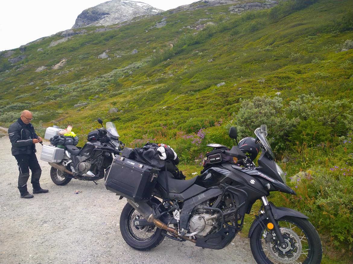 Suzuki V-strom DL 650 billede 4