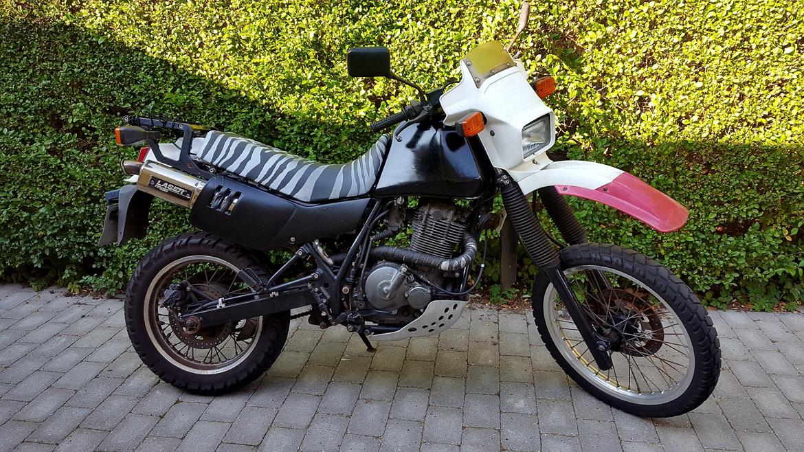 Suzuki DR 650 Dakar R. billede 1