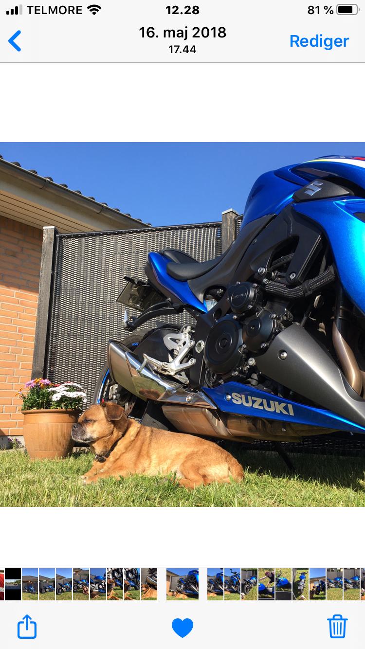 Suzuki Gsxs 1000 A billede 9