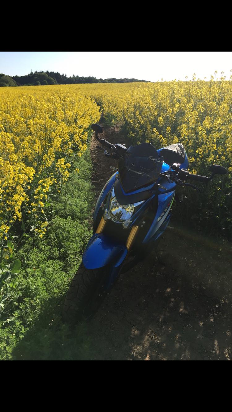 Suzuki Gsxs 1000 A billede 8