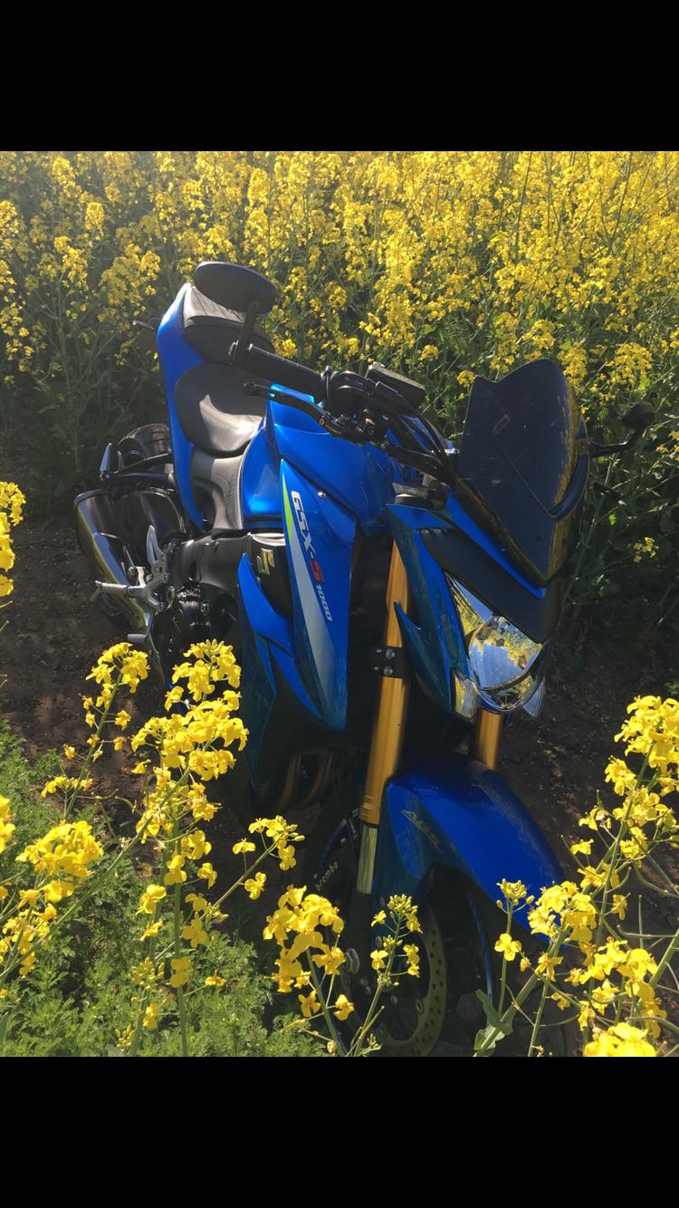 Suzuki Gsxs 1000 A billede 10