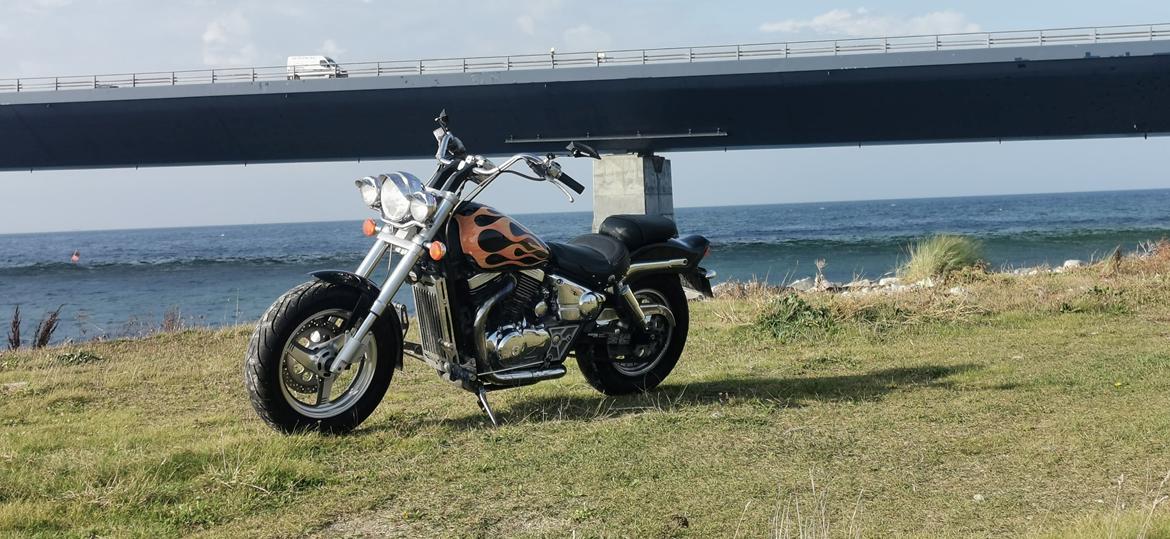 Suzuki vz800 billede 1