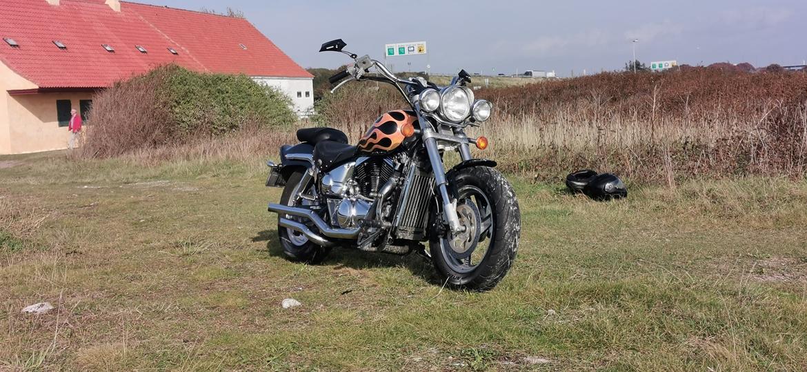 Suzuki vz800 billede 2