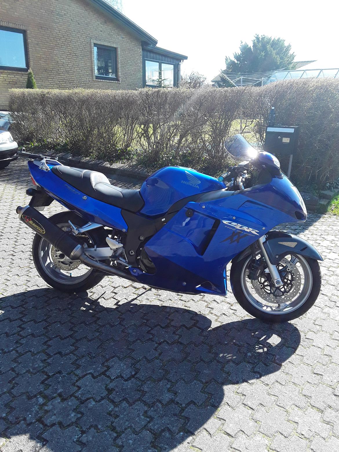 Honda CBR 1100 xx Super Blackbird billede 10