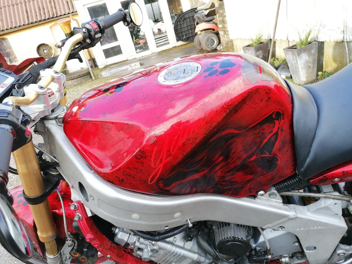 Yamaha Fzr1000 billede 6