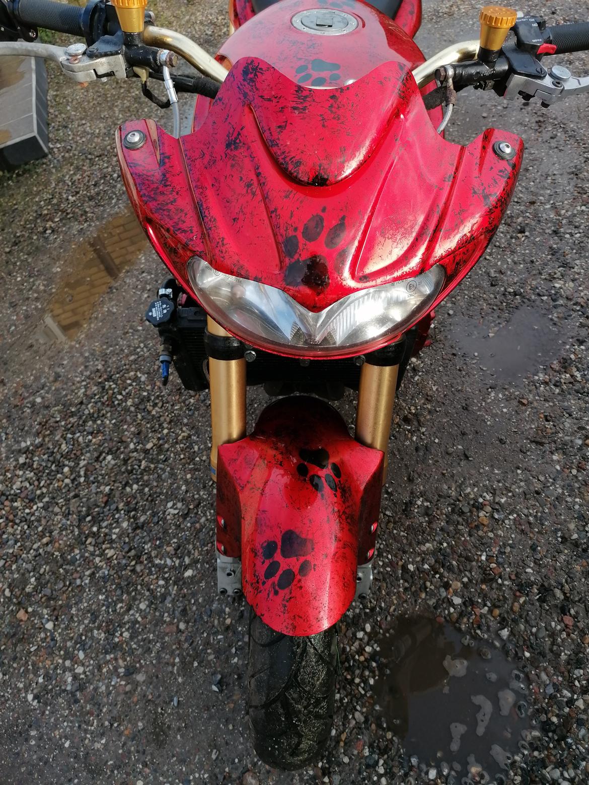 Yamaha Fzr1000 billede 7