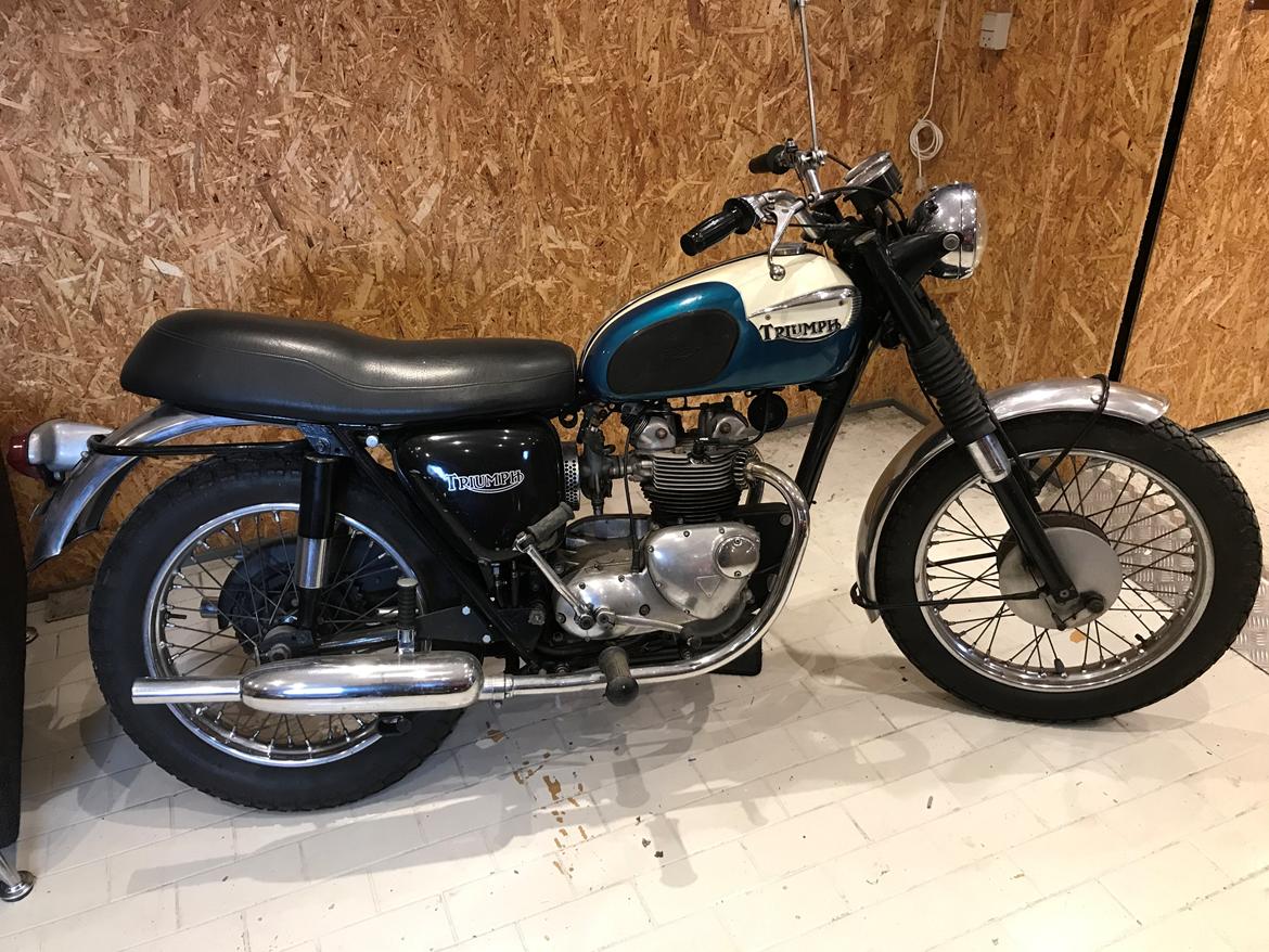 Triumph T100C Tiger billede 1