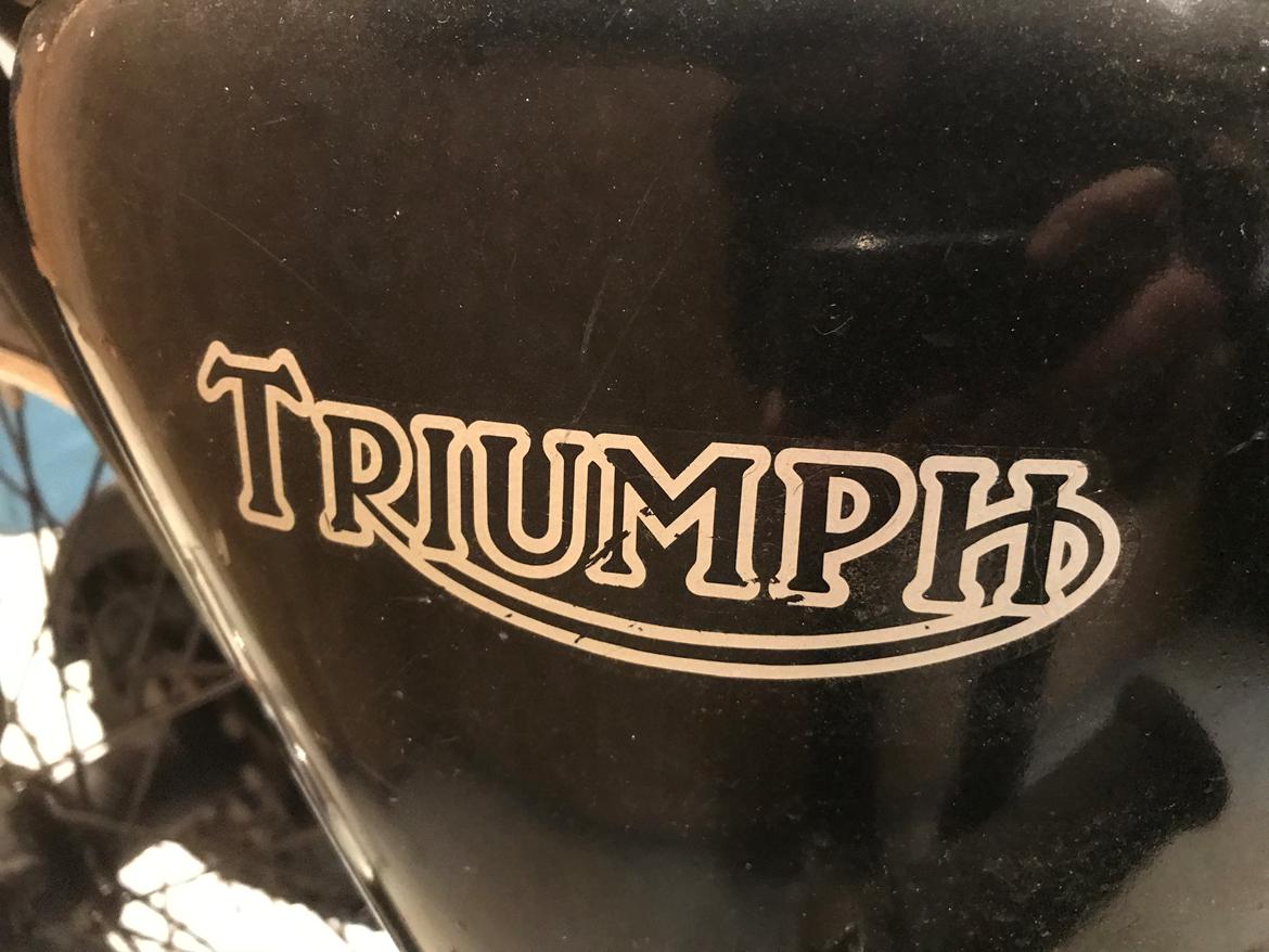Triumph T100C Tiger billede 7