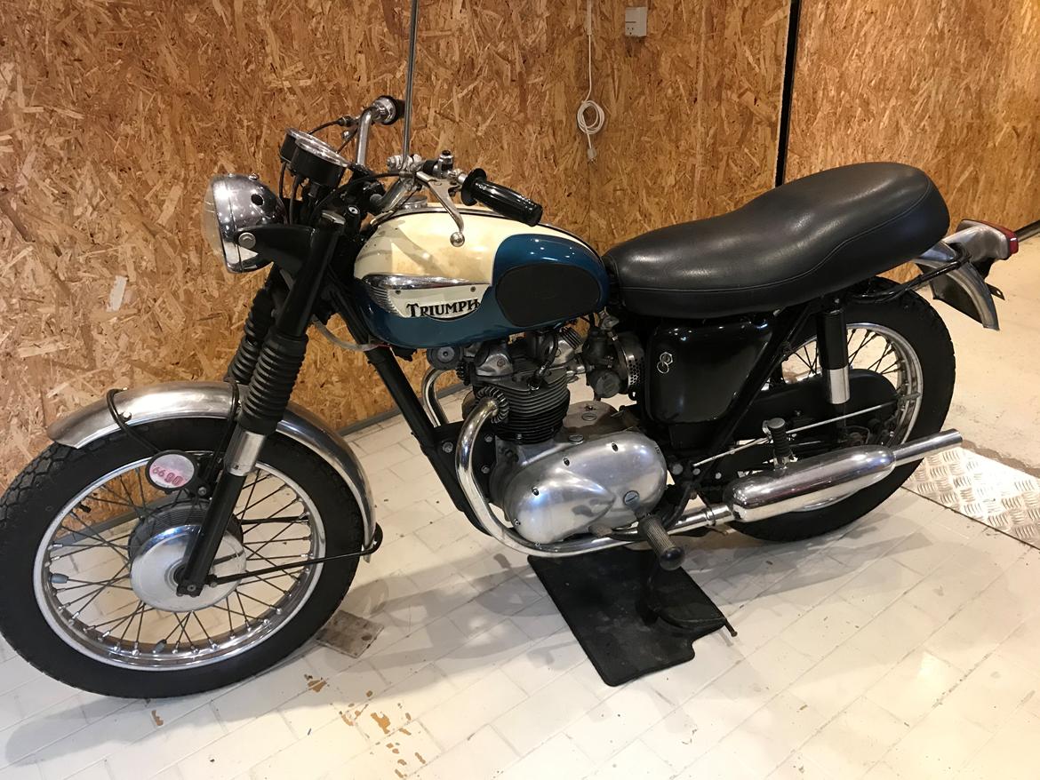 Triumph T100C Tiger billede 8