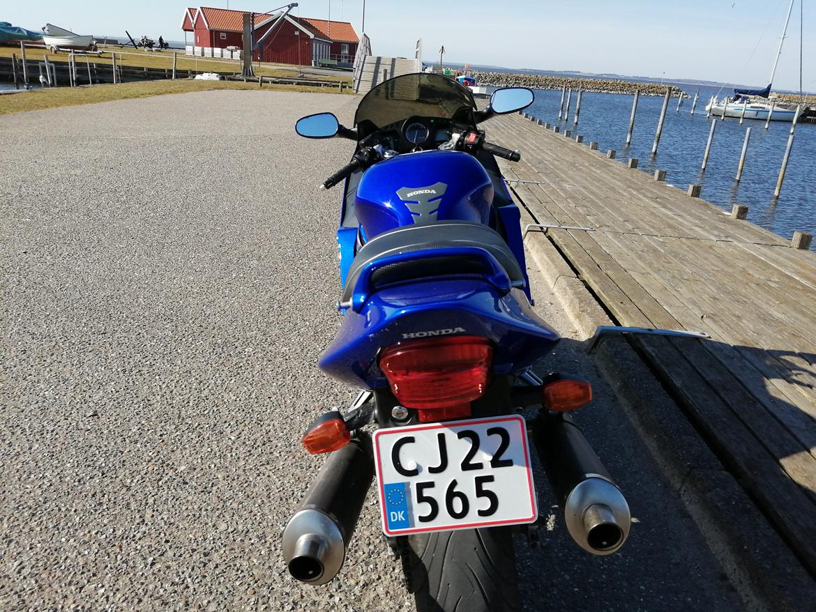 Honda CBR 1100 super XX black bird billede 8