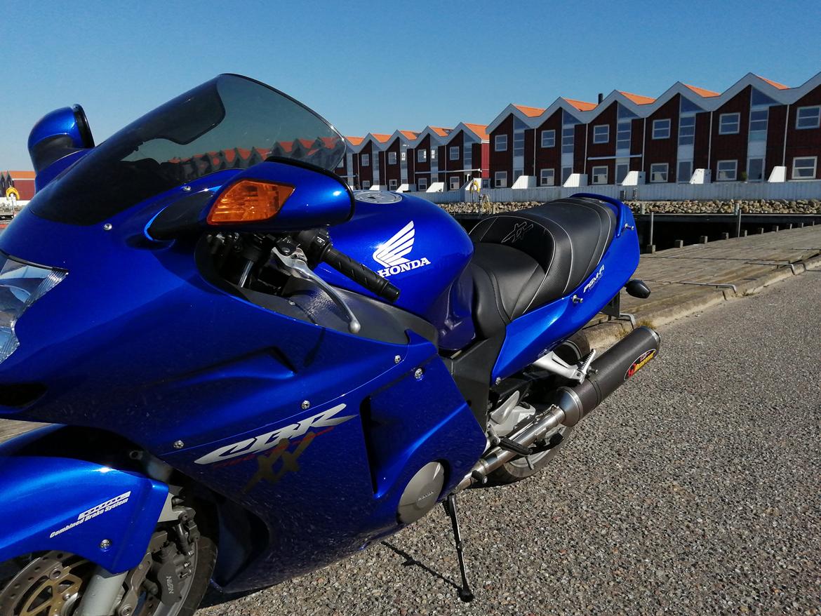 Honda CBR 1100 super XX black bird billede 3