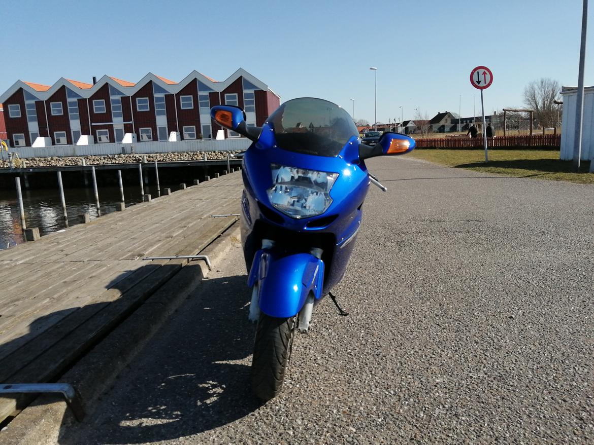 Honda CBR 1100 super XX black bird billede 12