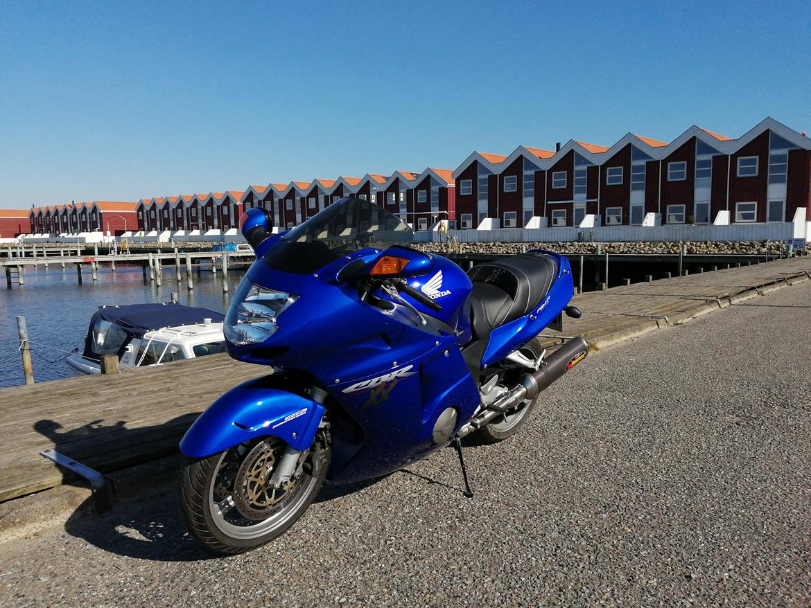 Honda CBR 1100 super XX black bird billede 11