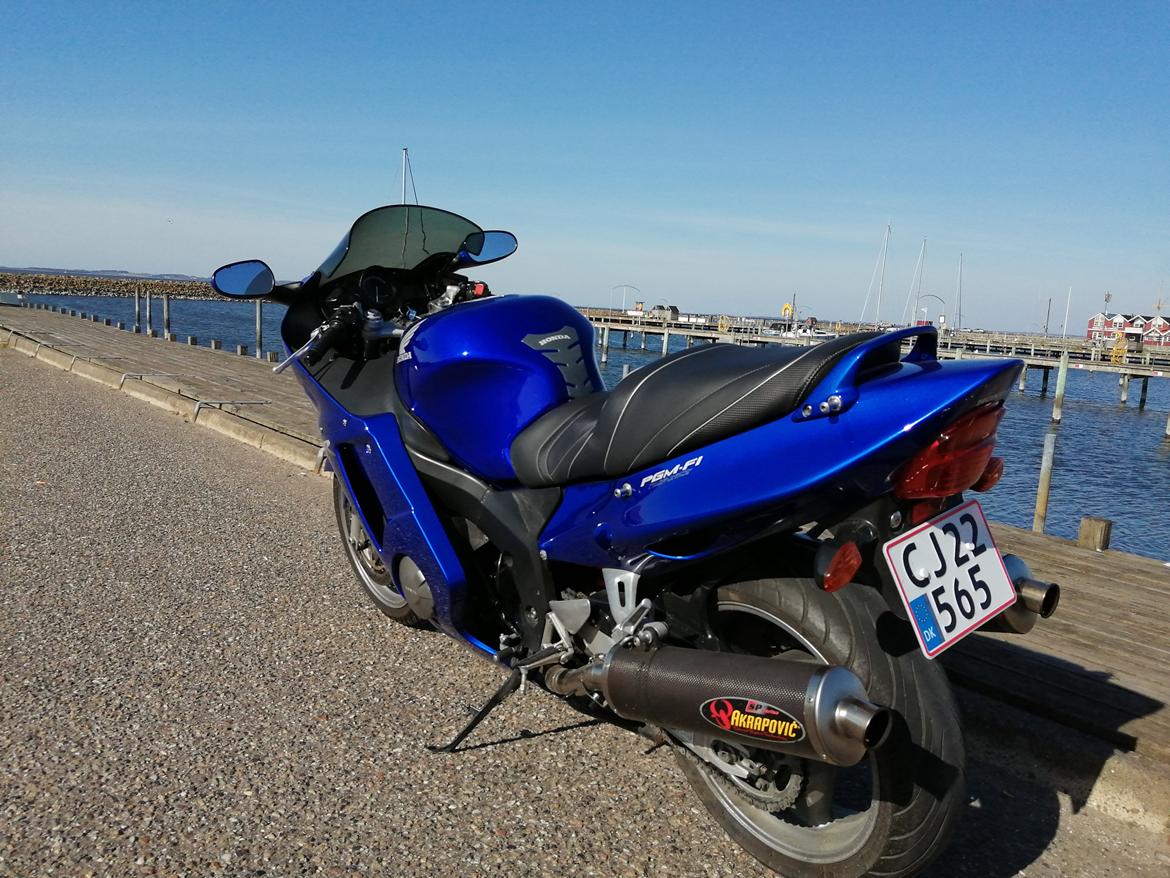 Honda CBR 1100 super XX black bird billede 10