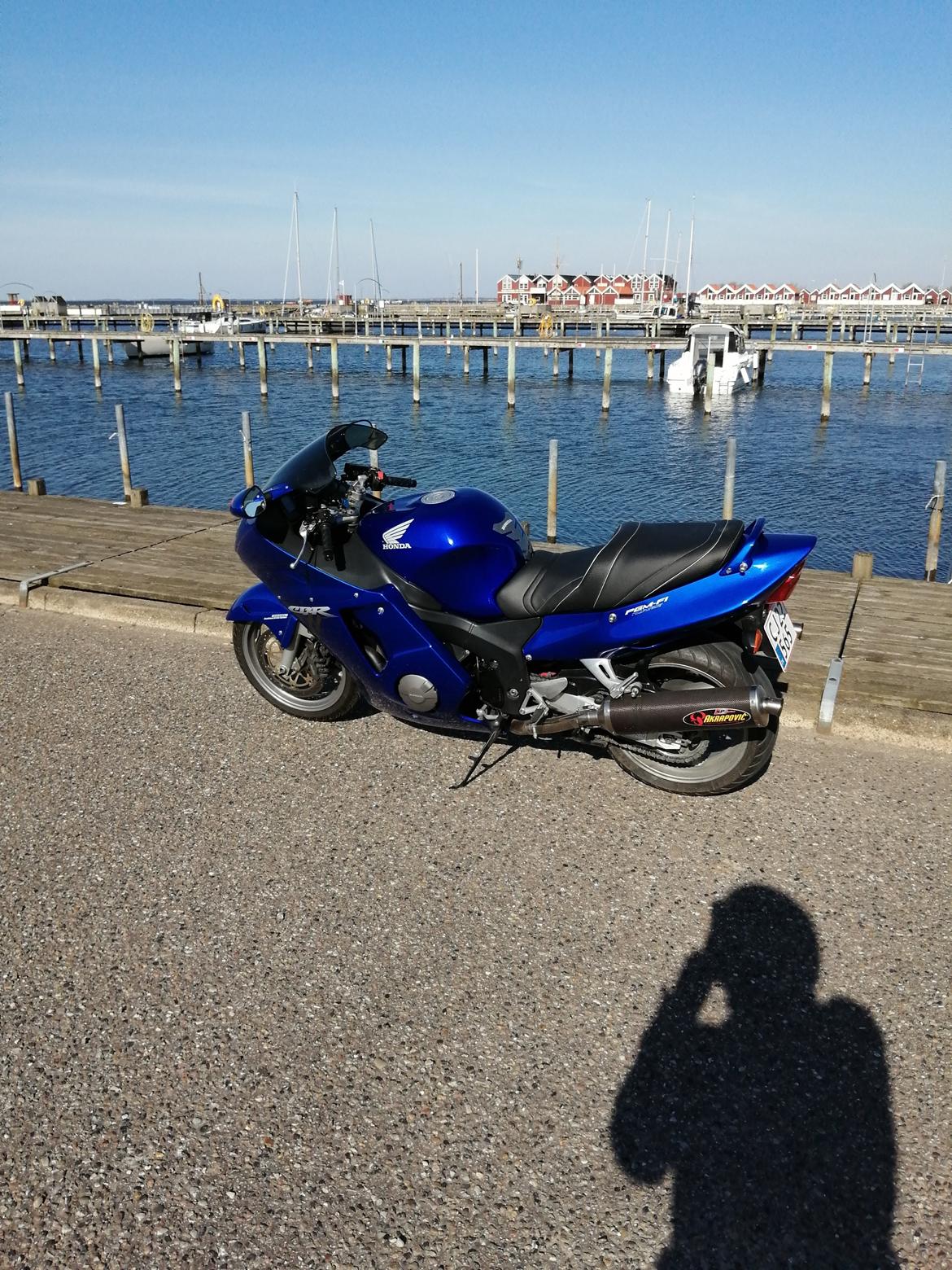 Honda CBR 1100 super XX black bird billede 2