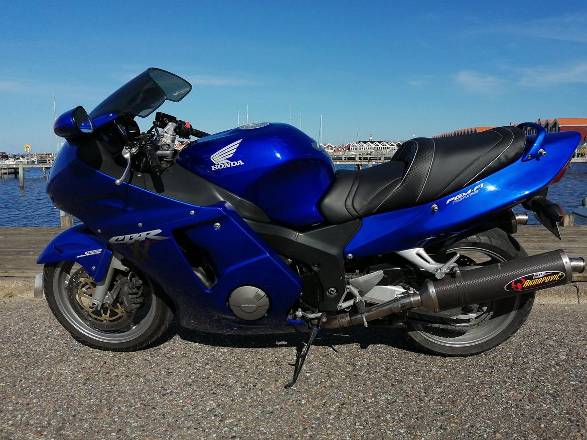 Honda CBR 1100 super XX black bird billede 1